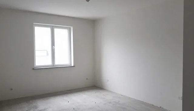 名录展示系统的性能表现与实际应用条件分析